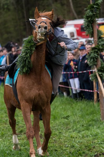 Kirchberger Georgiritt in Eugendorf am 17.04.2016  Foto und Copyright: Moser Albert, Fotograf, 5201 Seekirchen, Weinbergstiege 1, Tel.: 0043-676-7550526 mailto:albert.moser@sbg.at  www.moser.zenfolio.com