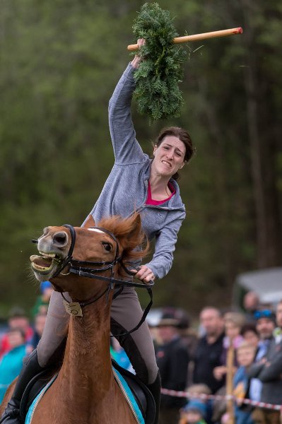 Kirchberger Georgiritt in Eugendorf am 17.04.2016  Foto und Copyright: Moser Albert, Fotograf, 5201 Seekirchen, Weinbergstiege 1, Tel.: 0043-676-7550526 mailto:albert.moser@sbg.at  www.moser.zenfolio.com