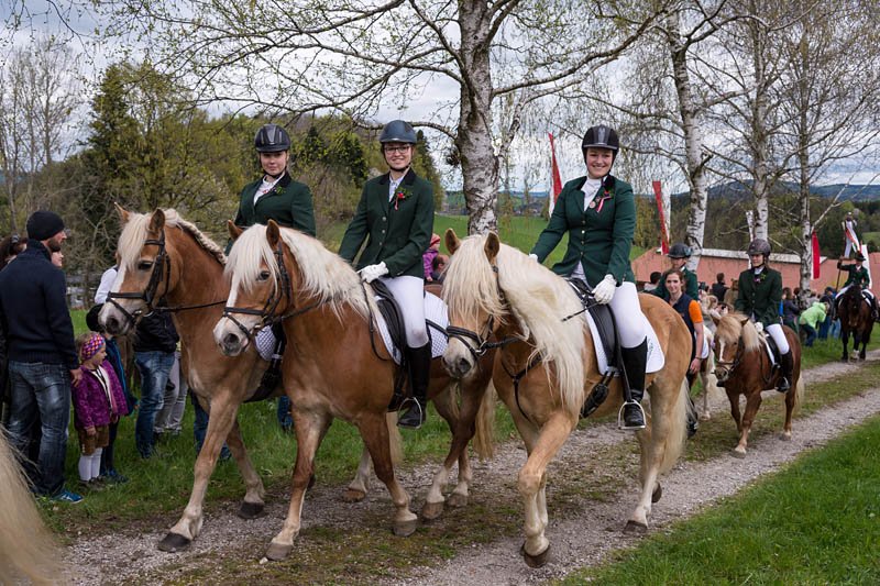 Kirchberger Georgiritt in Eugendorf am 17.04.2016  Foto und Copyright: Moser Albert, Fotograf, 5201 Seekirchen, Weinbergstiege 1, Tel.: 0043-676-7550526 mailto:albert.moser@sbg.at  www.moser.zenfolio.com