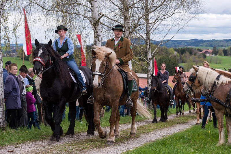 Kirchberger Georgiritt in Eugendorf am 17.04.2016  Foto und Copyright: Moser Albert, Fotograf, 5201 Seekirchen, Weinbergstiege 1, Tel.: 0043-676-7550526 mailto:albert.moser@sbg.at  www.moser.zenfolio.com