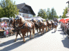 pferdekutschengala12